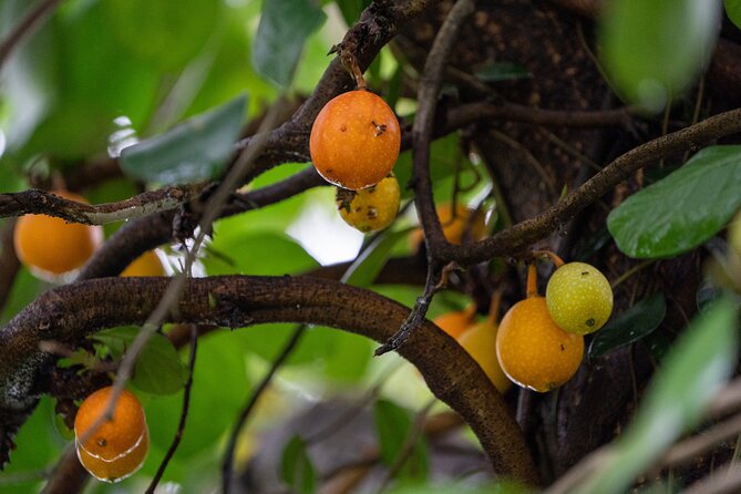 Mount Faber, Henderson Waves and Southern Ridges Tour - Savoring Local Produce