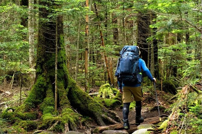 Mount Fansipan 2 Days Trek – Roof of Indochina - Tour Requirements and Restrictions