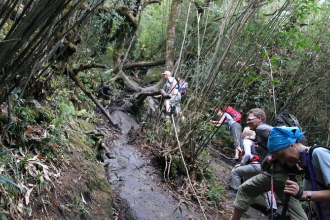 Mount Fansipan 2 Days Trek – Roof of Indochina - Booking Information