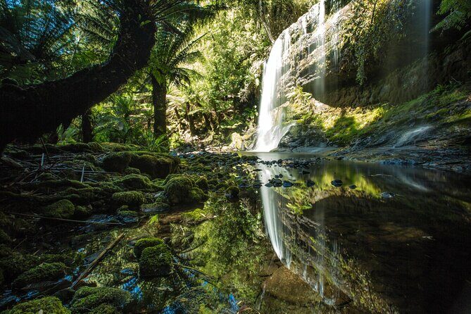 Mount Field And The Derwent Tasting Trail - Final Thoughts: Is It Worth It?