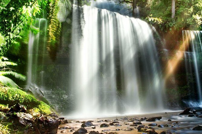 Mount Field Day Tour Private Charter Service ( 3 days in advance - Key Points