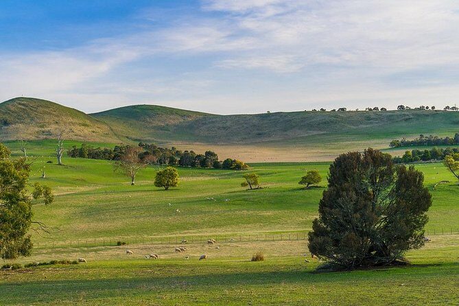 Mount Field Day Tour Private Charter Service ( 3 days in advance - Who Will Love This Tour?