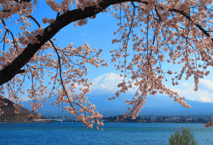 Mount Fuji 1-Day Trip: the Hottest Photography Tour - Kawaguchiko Station LAWSON