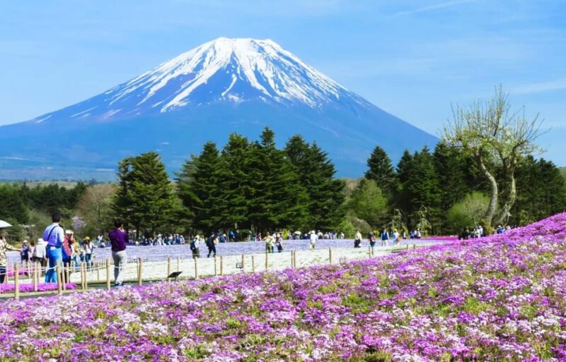 Mount Fuji 5th Station, Oshino Hakkai and Onsen 1-Day Trip - Key Points