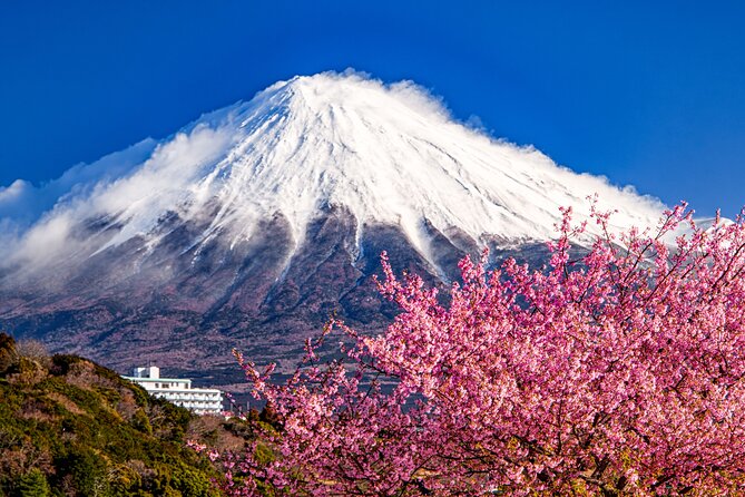 Mount Fuji and Cherry Blossom E-Bike Tour (Seasonal Availability) - Experience the Cherry Blossom Season