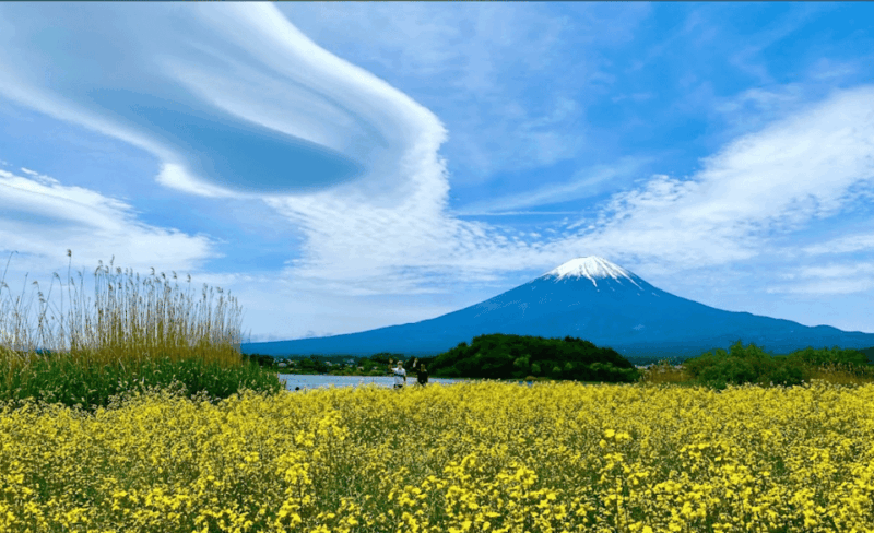 Mount Fuji and Hakone Customize Private Tour English Guide - Customizable Experience