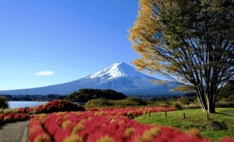 Mount Fuji and Hakone Customize Private Tour English Guide - Hakone: A Picturesque Destination