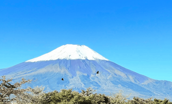 Mount Fuji and Hakone Customize Private Tour English Guide - Visitor Information