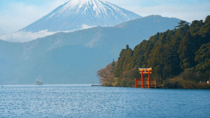 Mount Fuji and Hakone Customized Private Tour - Key Points