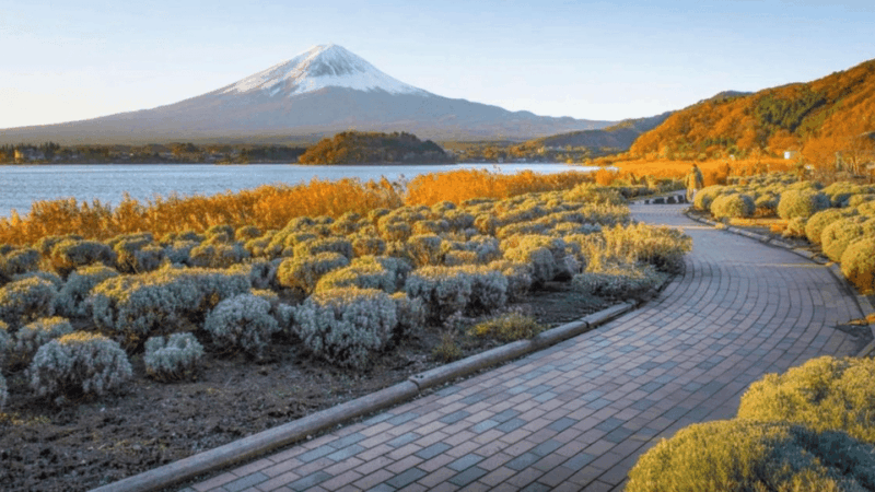 Mount Fuji and Hakone Customized Private Tour - Booking and Cancellation Policy