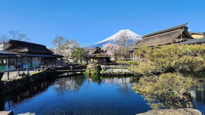 Mount Fuji and Hakone Day Tour With English Speaking Drivers - Additional Services and Fees