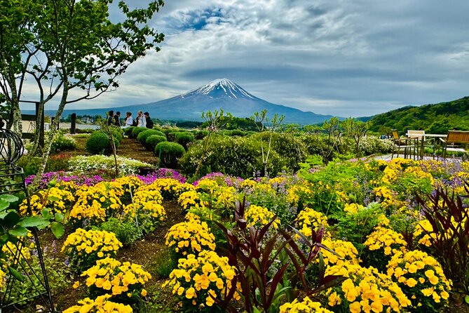 Mount Fuji and Hakone Day Trip With English Professional Guide - Pickup Information