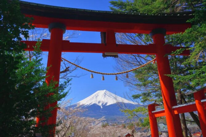 Mount Fuji and Hakone Day Trip With English Professional Guide - Accessibility and Participation