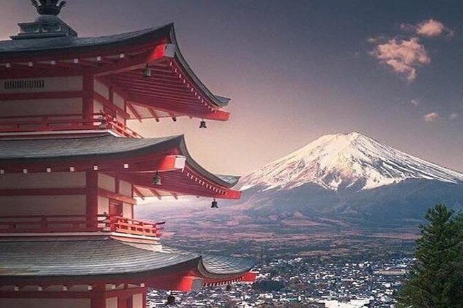 Mount Fuji and Hakone Full Day Private Sightseeing Tour - Pickup and Drop Off Details