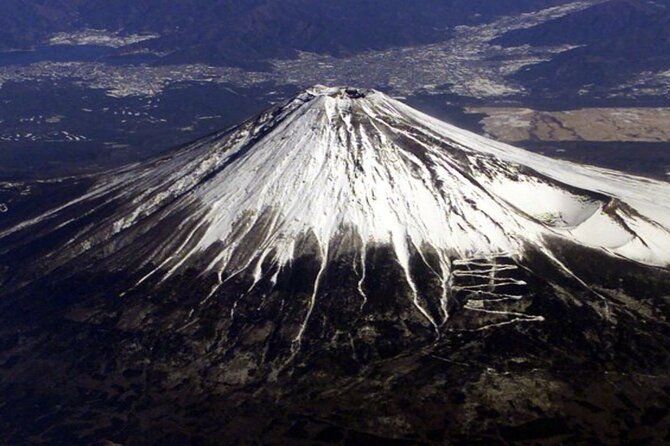Mount Fuji and Hakone Full Day Private Sightseeing Tour - Inclusions and Accessibility