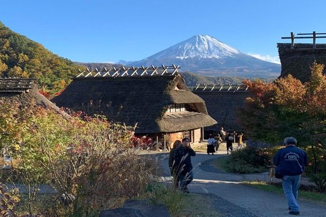 Mount Fuji and Hakone Full Day Private Sightseeing Tour - Booking Information and Policies