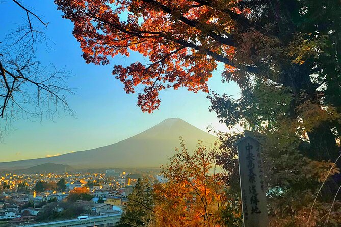 Mount Fuji and Hakone Full Day Private Sightseeing Tour - Pricing