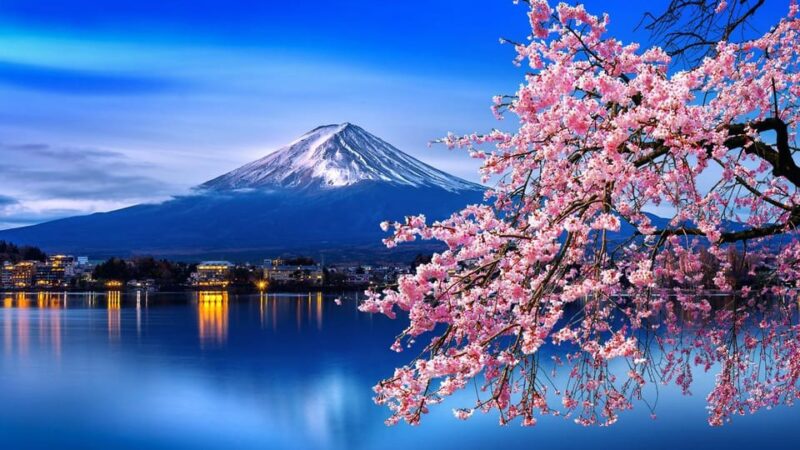 Mount Fuji and Hakone Full-Day Private Tour - Key Points
