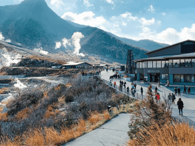 Mount Fuji and Hakone Full Day Private Tour With English Gui - Itinerary Highlights