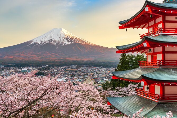 Mount Fuji and Hakone Private Day Trip by Car/Van - in English - Gliding Through the Hakone Ropeway