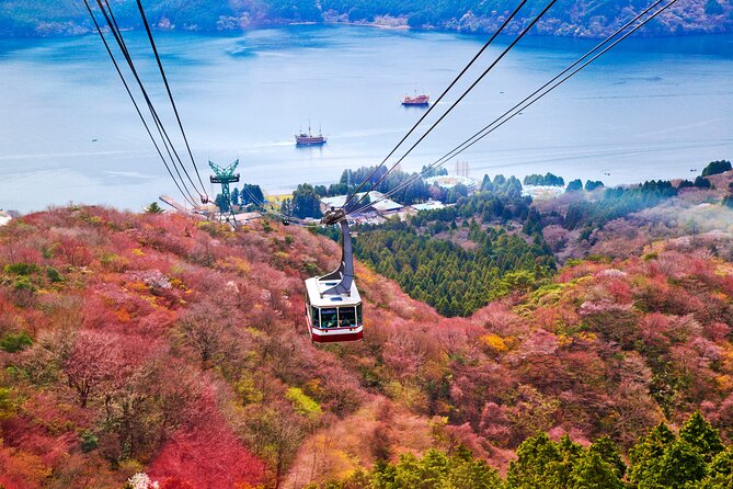 Mount Fuji and Hakone Private Day Trip by Car/Van - in English - Booking and Cancellation Policy