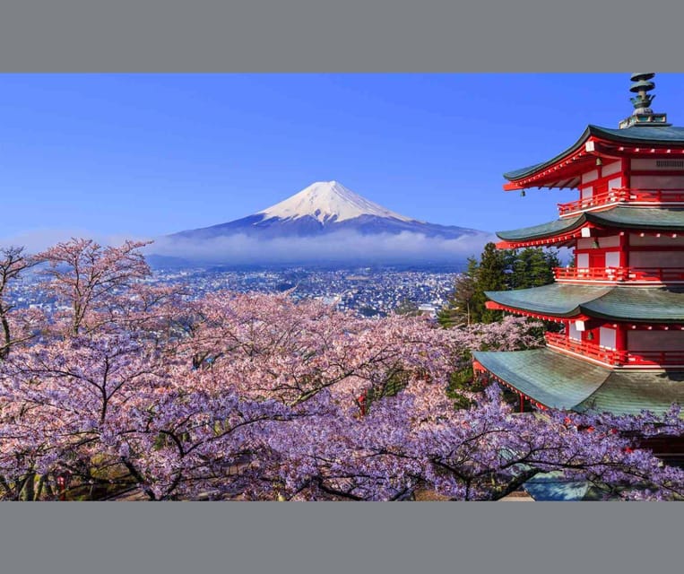 Mount Fuji and Hakone Private Tour English Speaking Driver - Key Points