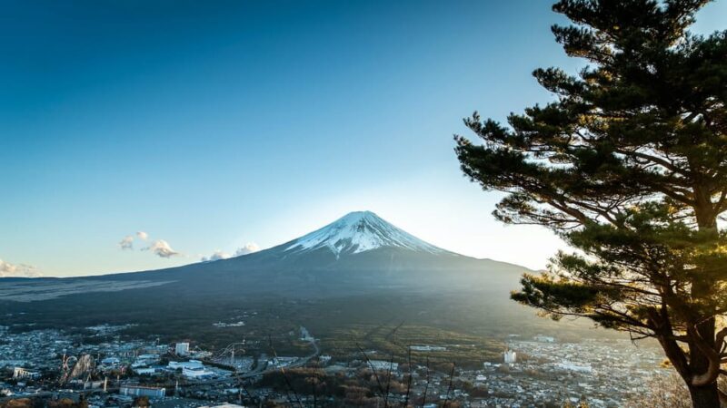 Mount Fuji and Hakone Private Tour English Speaking Driver - Highlights of the Tour