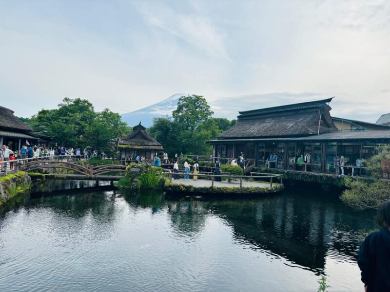 Mount Fuji and Hakone Private Tour English Speaking Driver - Scenic Cruise and Oishi Park