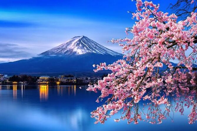Mount Fuji and Hakone Private Tour With English Speaking Driver - Policies
