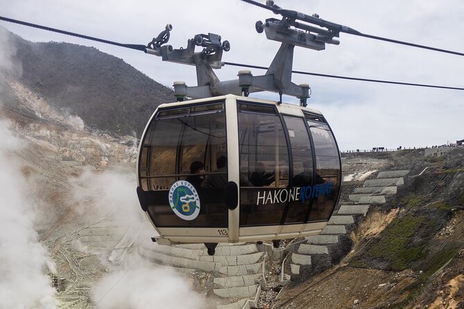 Mount Fuji and Hakone Private Tour With English Speaking Driver - Pickup Points