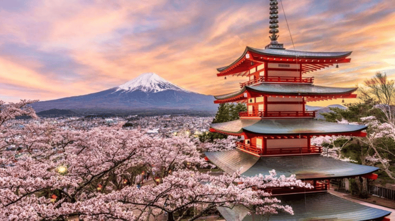 Mount Fuji and Hakone Private Tour With Pick-Up and Drop off - Itinerary Highlights