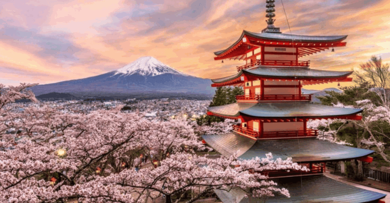 Mount Fuji and Hakone Private Tour With Pick-Up and Drop off - Main Attractions