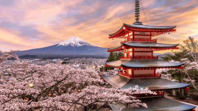 Mount Fuji and Hakone Private Tour With Pick-Up and Drop off - Included Amenities