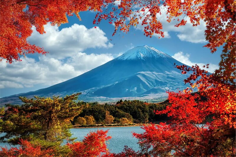 Mount Fuji and Hakone Tour With Personal Driver & Transport - Customer Feedback