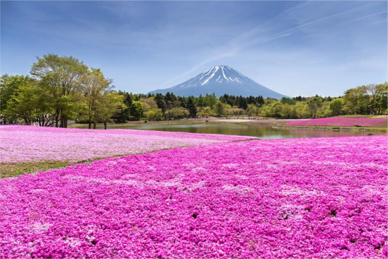 Mount Fuji and Hakone Tour With Personal Driver & Transport - Exploring Iconic Landmarks