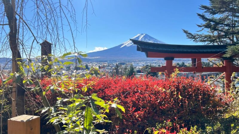 MOUNT FUJI and Lake Kawaguchi-Ku One Day Tour With Guide - Customer Reviews and Experiences