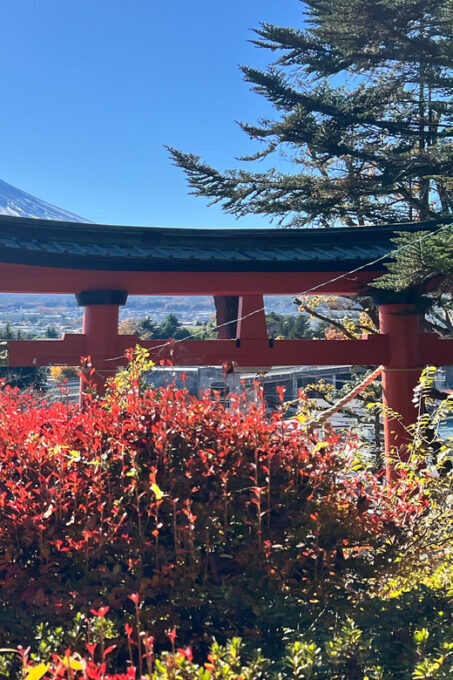 MOUNT FUJI and Lake Kawaguchi-Ku One Day Tour With Guide - FAQ