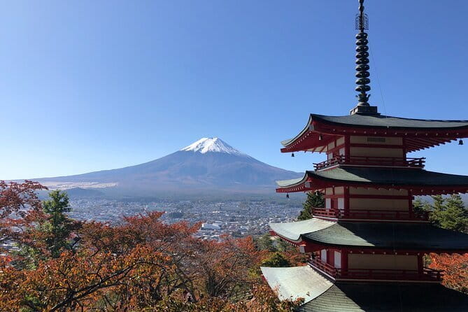 Mount Fuji and Lake Kawaguchi Private Day Trip From Tokyo - Health and Accessibility