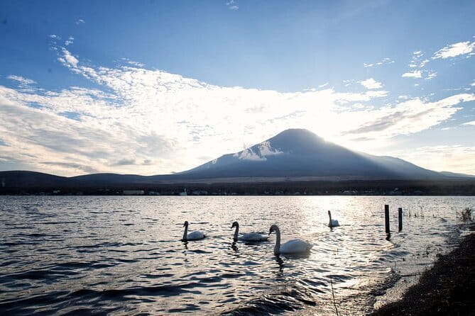 Mount Fuji and Lake Kawaguchi Private Day Trip From Tokyo - Booking and Cancellation Policy