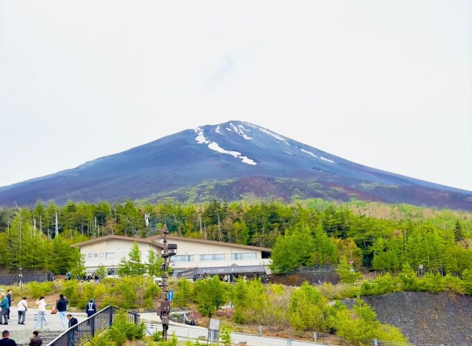 Mount Fuji and Lake Kawaguchiko Luxury Private Tour - Kitaguchi Hongu Fuji Sengen Shrine