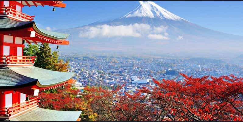 Mount Fuji and Lake Kawaguchiko Tour With English Guide - Vehicle and Guide Information