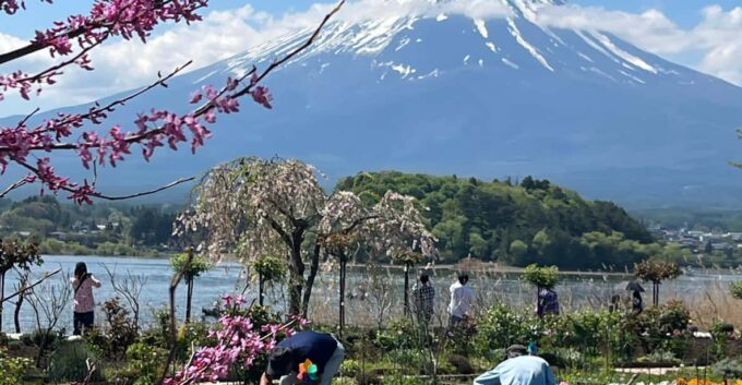 Mount Fuji and Lake Kawaguchiko Tour With English Guide - Oshino Hakkai