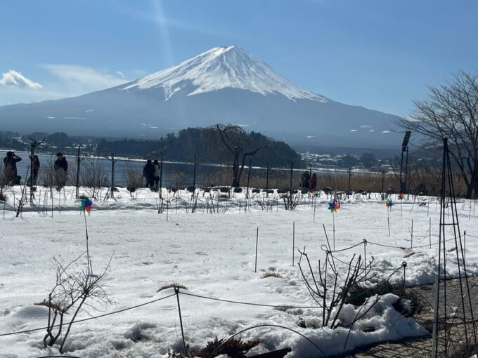 Mount Fuji and Lake Kawaguchiko Tour With English Guide - Wheelchair Accessibility