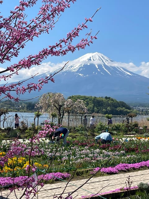 Mount Fuji and Lake Kawaguchiko Tour With English Guide - Private Group Experience