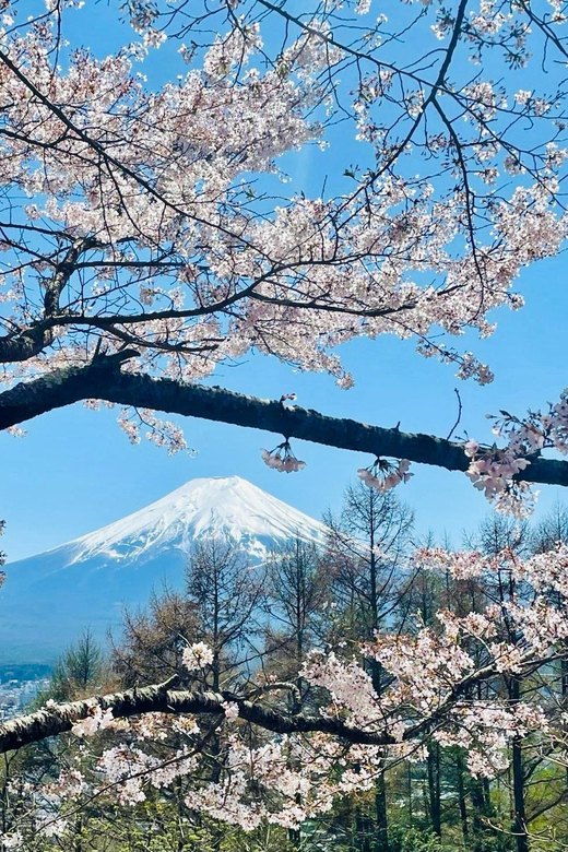 Mount Fuji and Lake Kawaguchiko With Pick-Up & Drop-Off - Age Restrictions