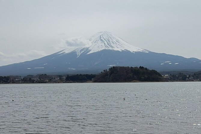 Mount Fuji and Surroundings Full Day Private Tour - Inclusions