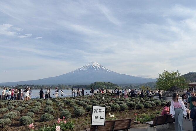 Mount Fuji and Surroundings Full Day Private Tour - Highlights of the Tour