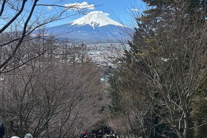 Mount Fuji and Surroundings Full Day Private Tour - Additional Information