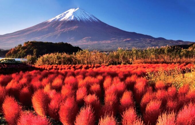 Mount Fuji, Arakura Pagoda, Oishi Park, Kawaguchiko 1-Day Tour - Frequently Asked Questions