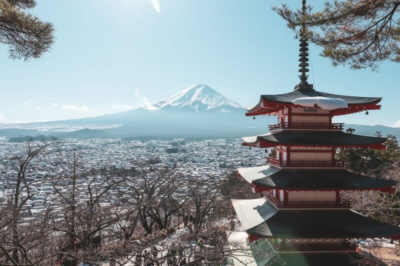 Mount Fuji Best Sightseeing Private Tour With Guide - Visiting Oshino Hakkai and Local Shops